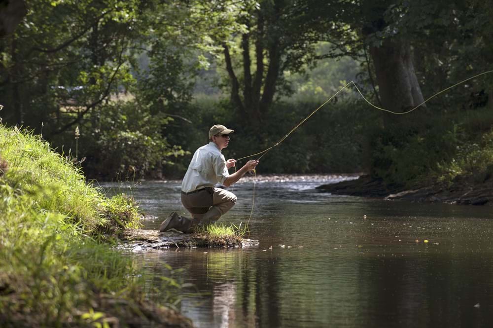Fly Fishing in the Test Valley