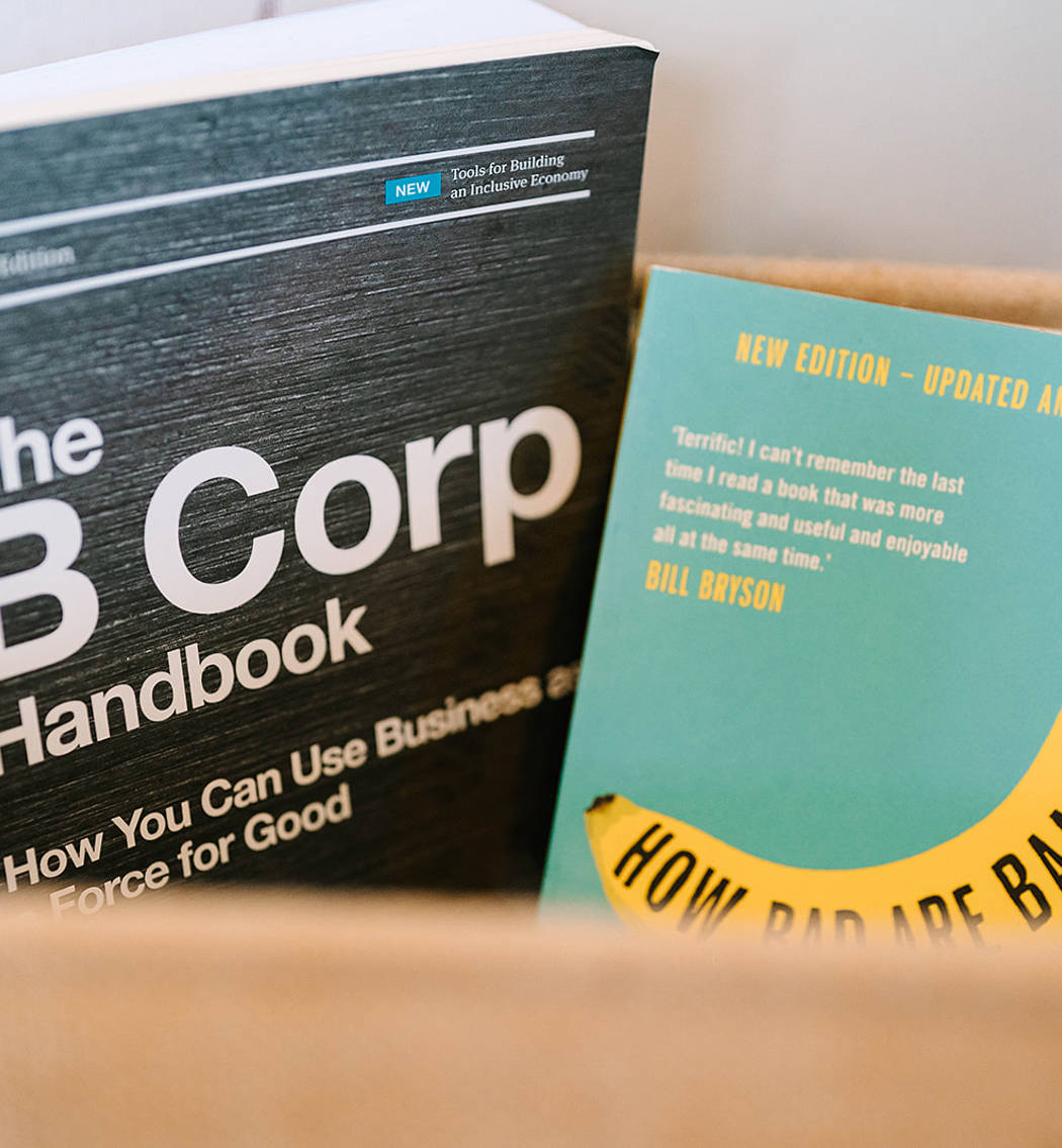 What is B Corp?