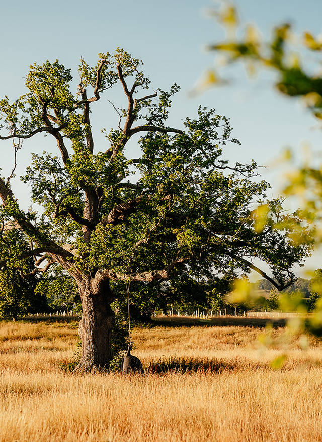 Beautiful landscapes