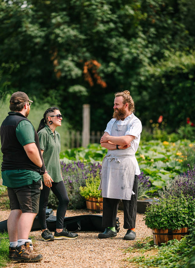 Kitchen Garden