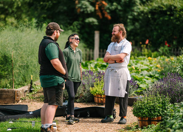 Stef's Kitchen Garden