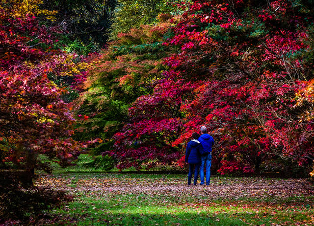 Westonbirt Arboretum