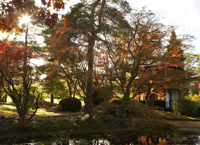 Autumn garden tour with afternoon tea