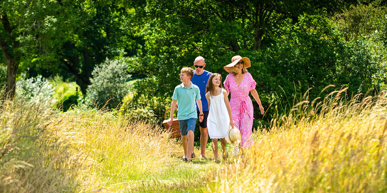 Grounds - a family walk